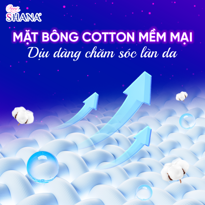 BĂNG QUẦN SHANA 2M - Ảnh 5