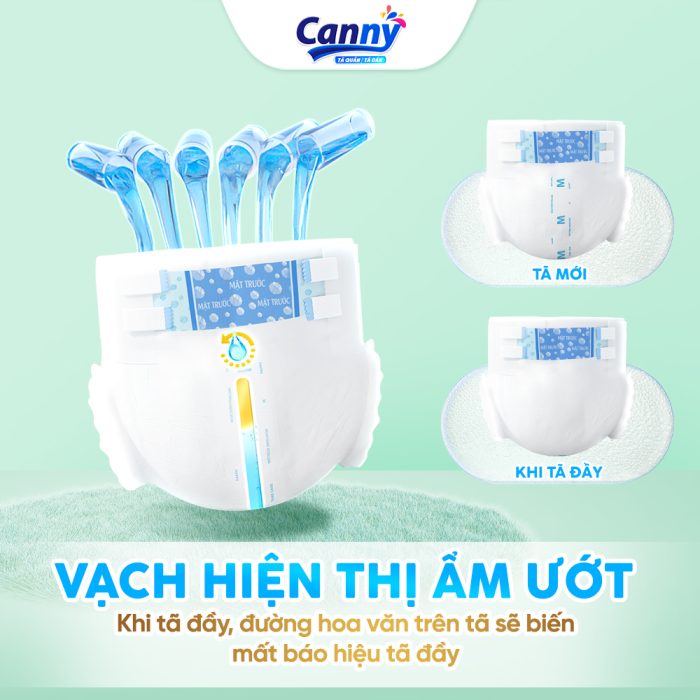 TÃ DÁN CANNY THẤM HÚT - Ảnh 5